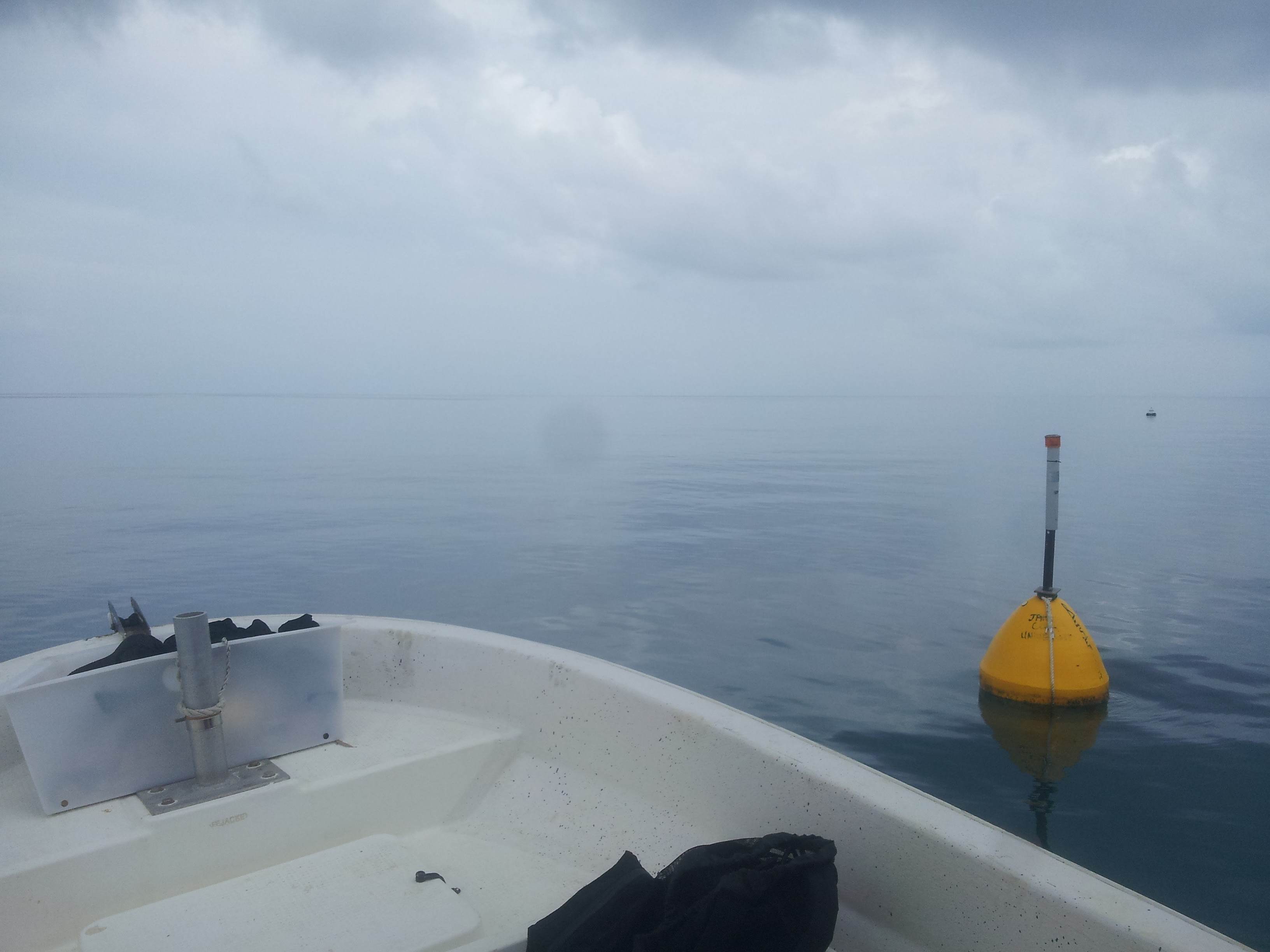 Nephelometer deployed - Surface buoy